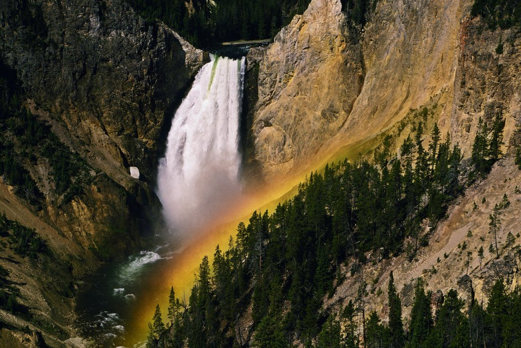 Detail of Grand Canyon of the Yellowstone by Corbis