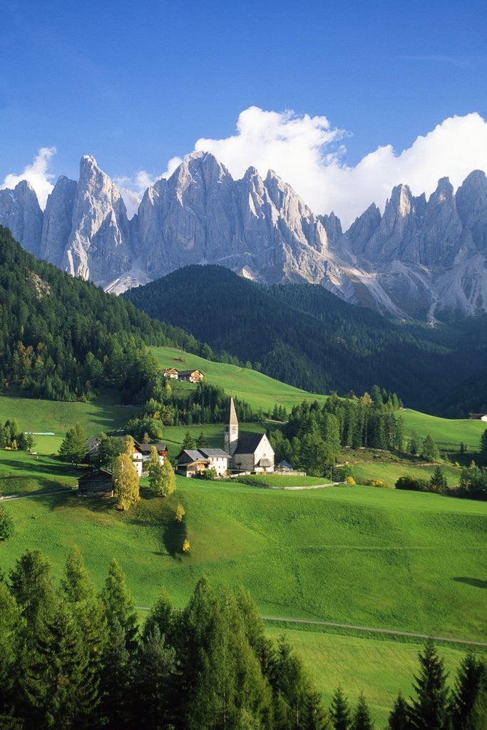 Detail of St. Magdalena in the Dolomites by Anonymous