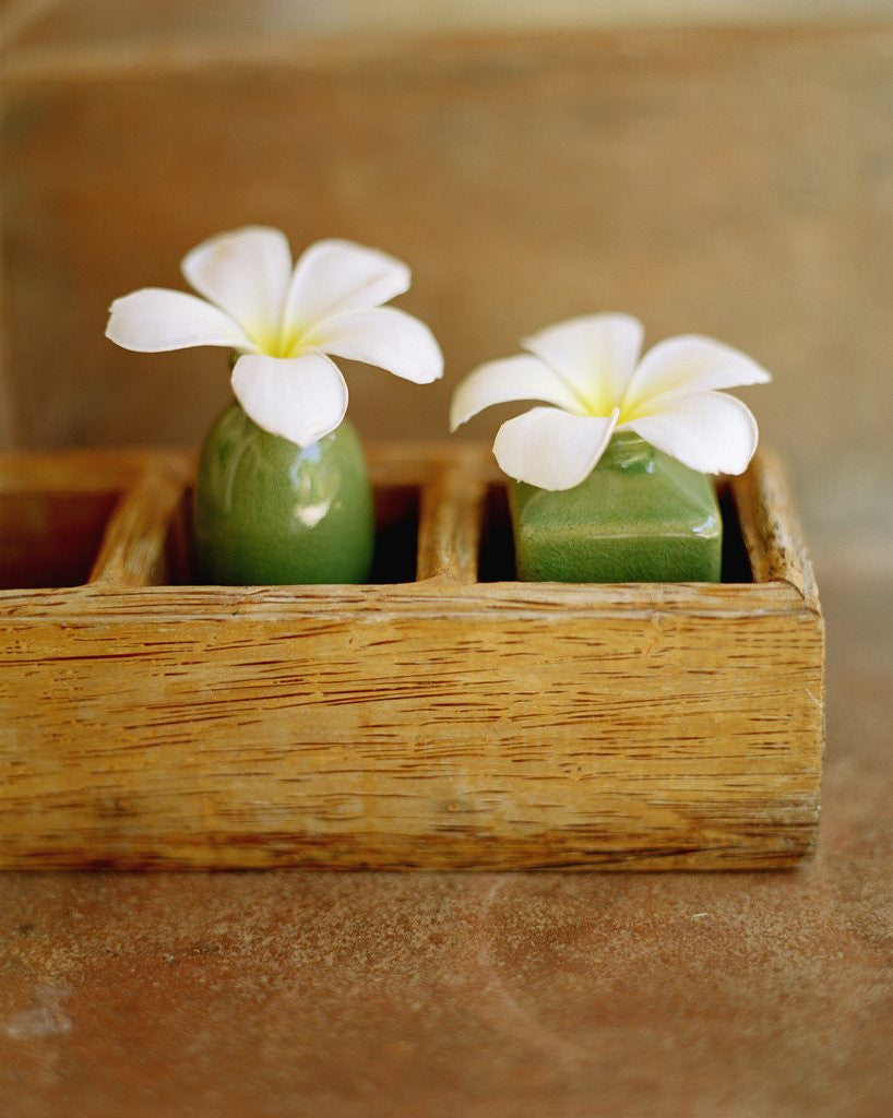Detail of Small Flower Vases by Anonymous
