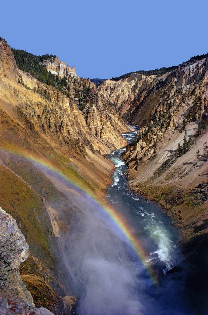 Detail of Rainbow over Lower Yellowstone Falls by Anonymous