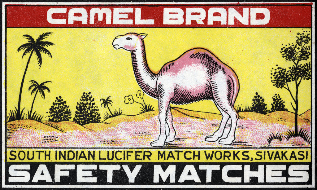 Detail of Camel Brand Indian Matchbox Label by Anonymous