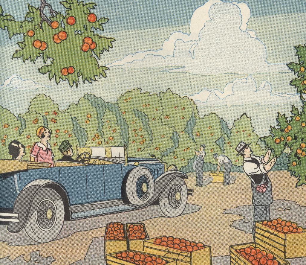 Detail of Illustration of a Chauffered Car in an Orange Grove by Anonymous
