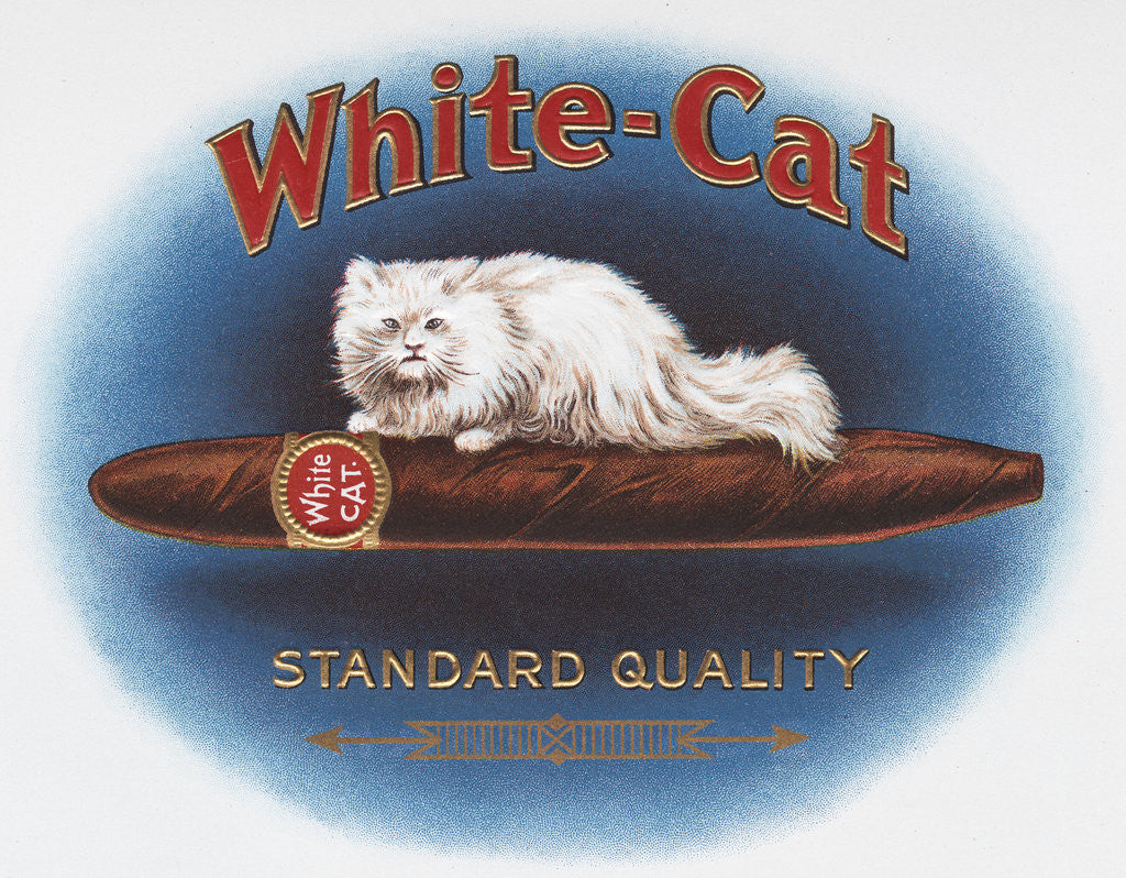 Detail of White Cat Cigar Label by Corbis