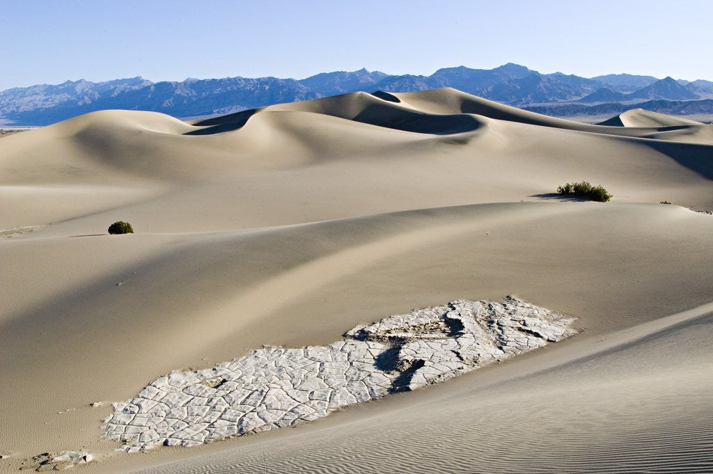 Detail of Cracked Rock Formation Amongst Sand Dunes by Anonymous