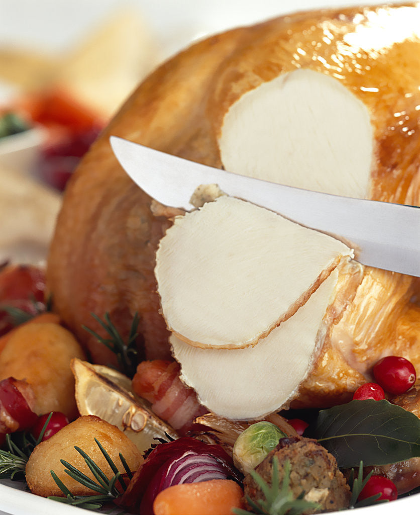 Detail of Carving White Meat of Roast Turkey by Anonymous