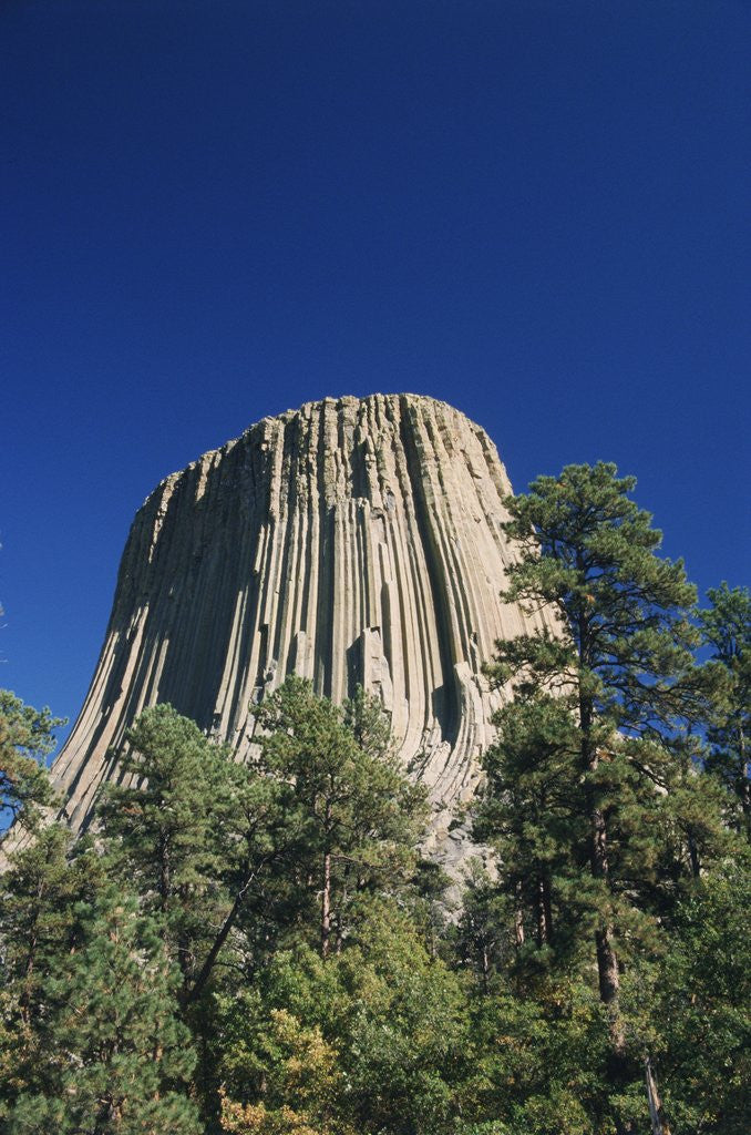 Detail of Devil's Tower by Anonymous