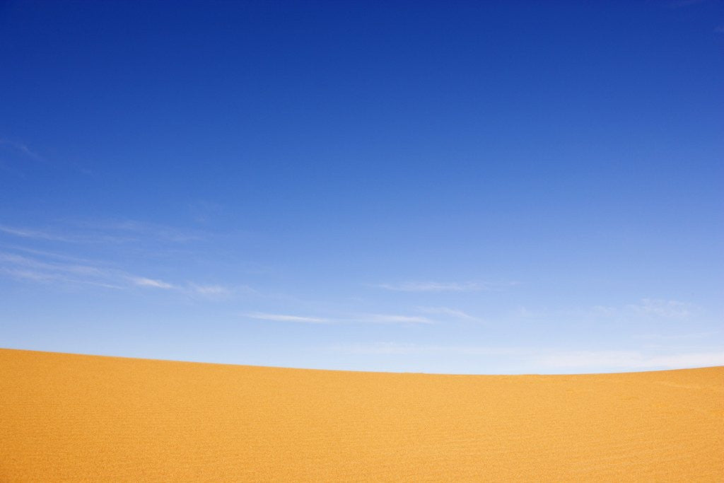 Detail of Sand and Sky by Anonymous