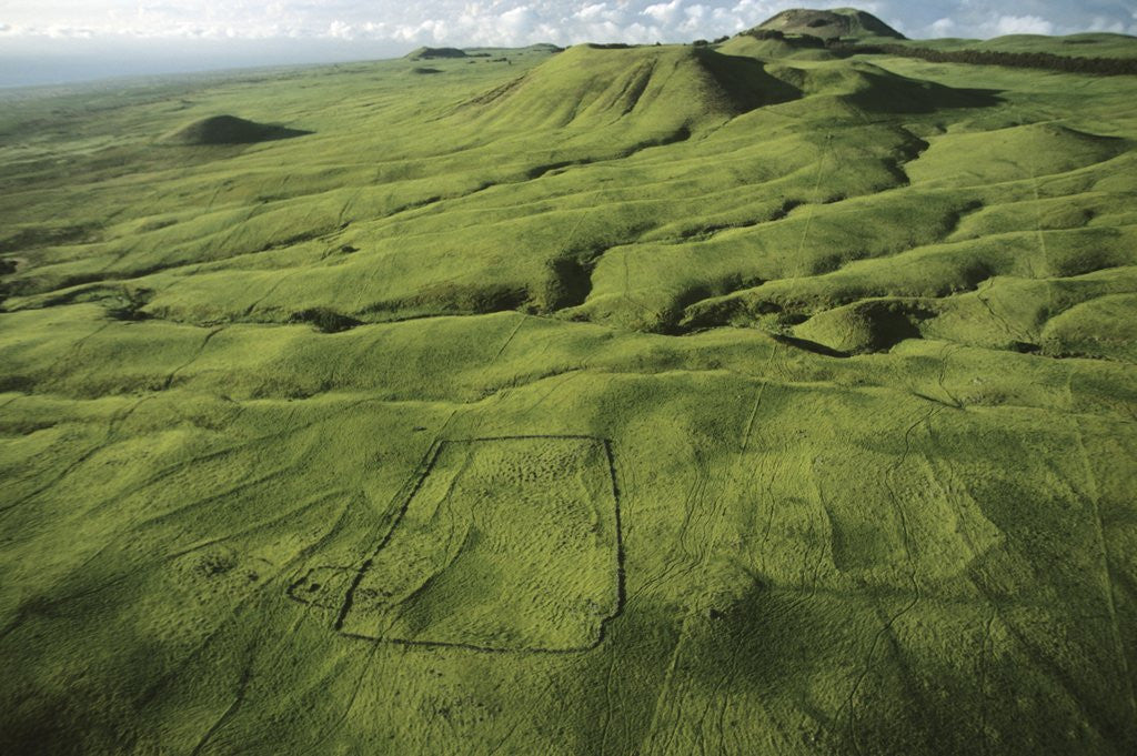 Detail of North Kohola Area by Anonymous