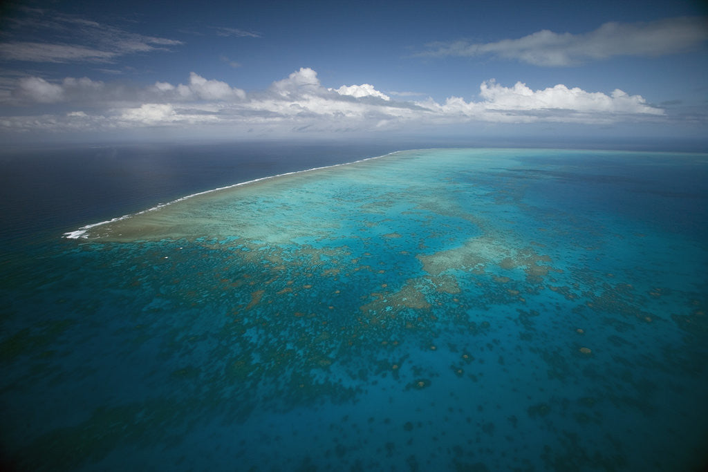 Detail of Great Barrier Reef in Australia From Above by Anonymous