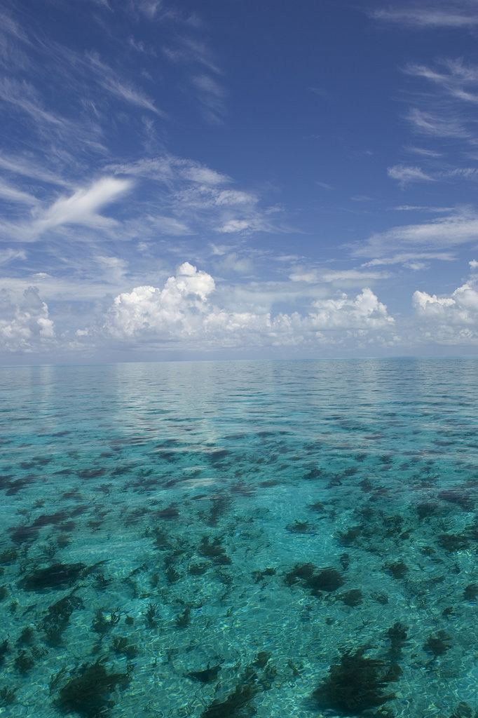 Detail of Calm Ocean Water in the Bahamas by Corbis