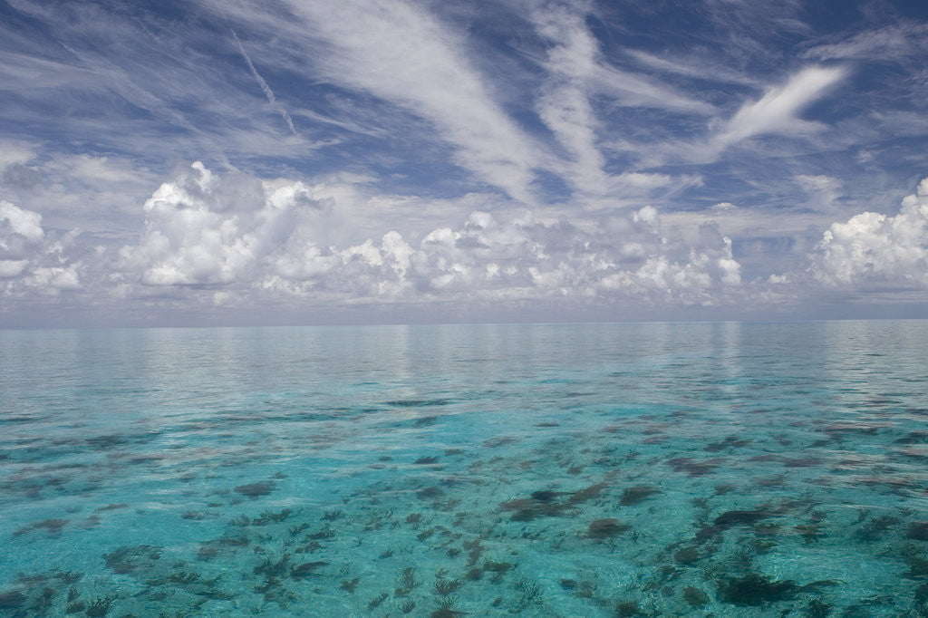Detail of Calm Ocean Water in the Bahamas by Anonymous