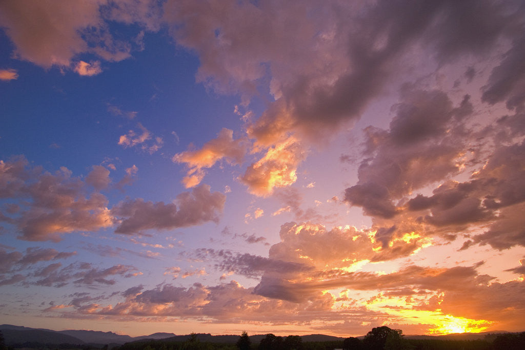 Detail of Sunset Over Willamette Valley by Anonymous
