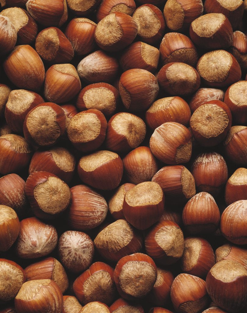 Detail of Hazelnuts in Shells by Corbis