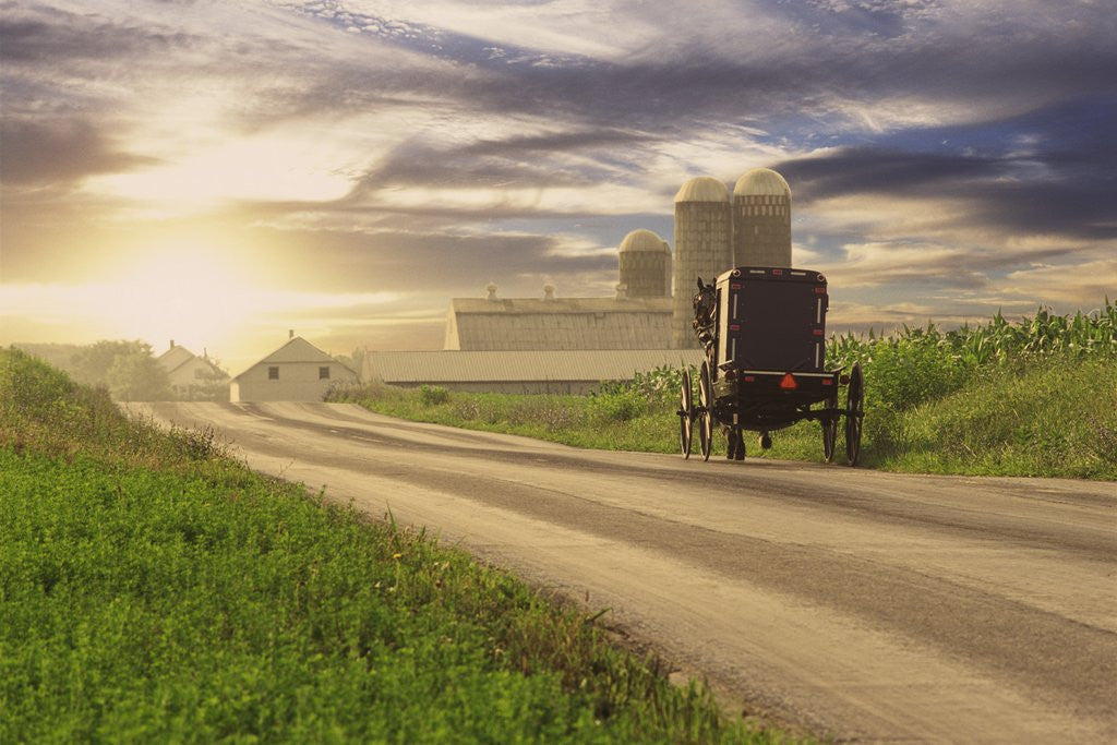 Detail of Amish Buggy on Road to Farm by Corbis