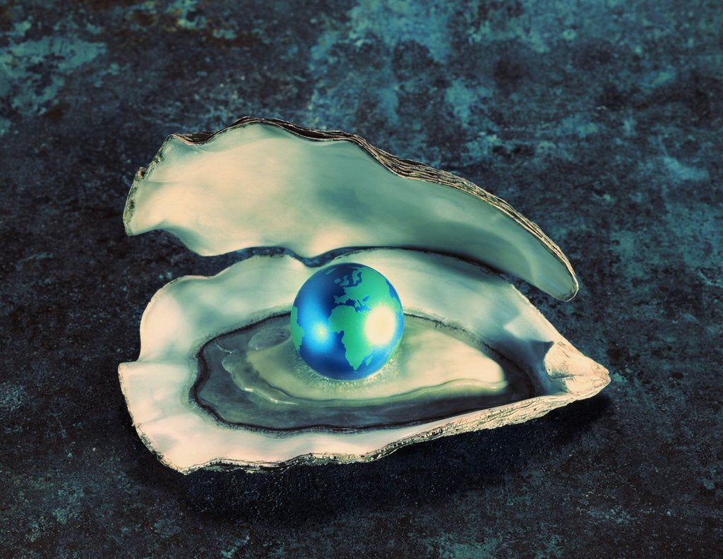Detail of Globe in Oyster by Anonymous