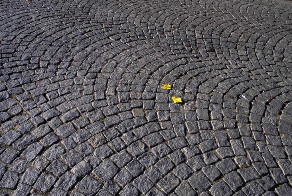 Detail of Patterned Cobblestones and Leaves by Anonymous