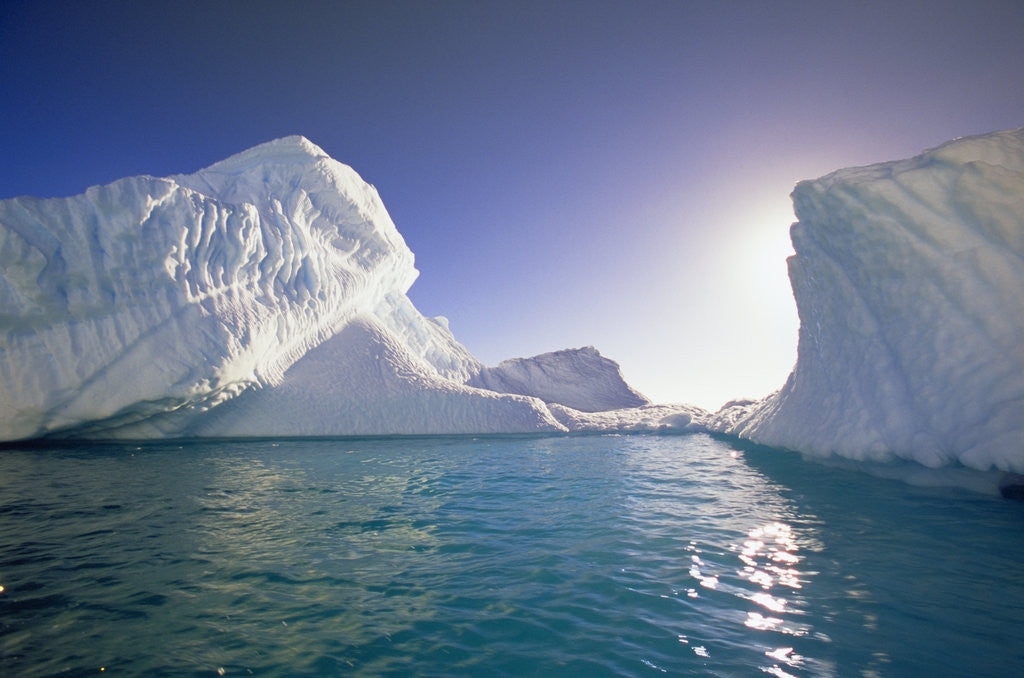 Detail of Icebergs in Evening Sun by Anonymous