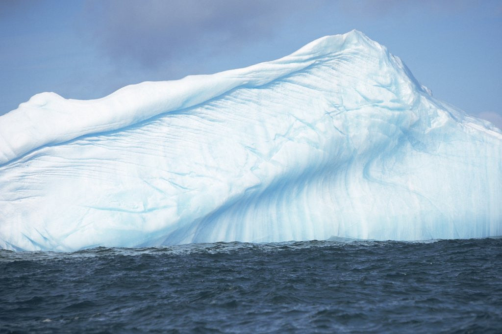 Detail of Floating Iceberg by Anonymous