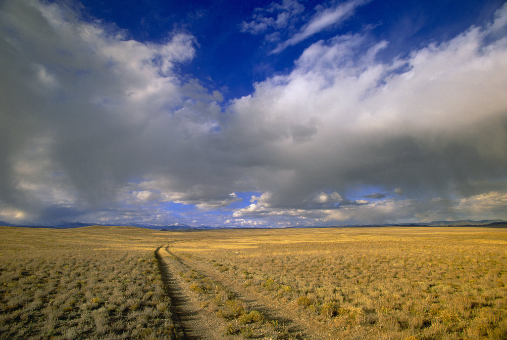 Detail of Ranch Road and Clouds by Anonymous