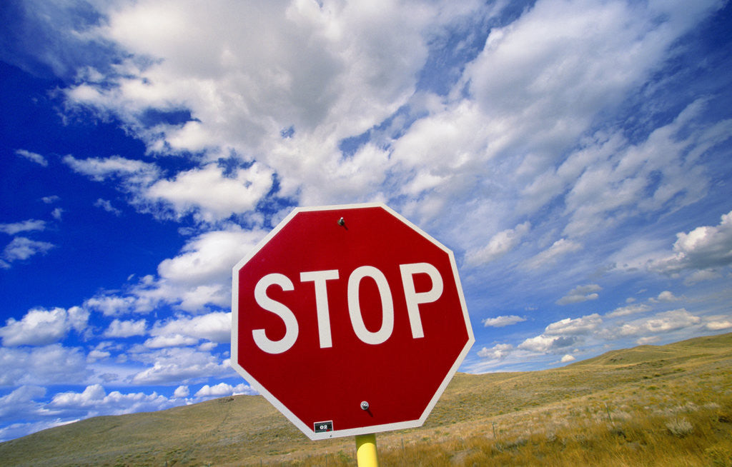 Detail of Stop Sign on Road Against Dramatic Sky by Anonymous