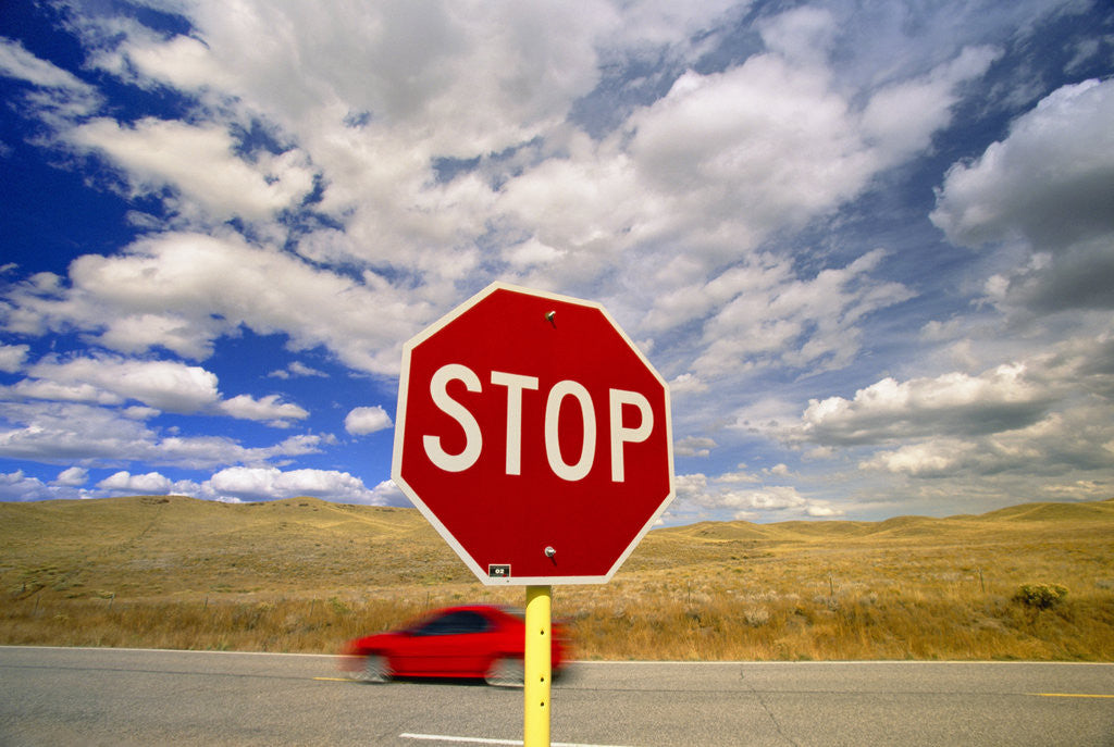 Detail of Stop Sign Against Blue Sky and Cumulus Clouds by Anonymous