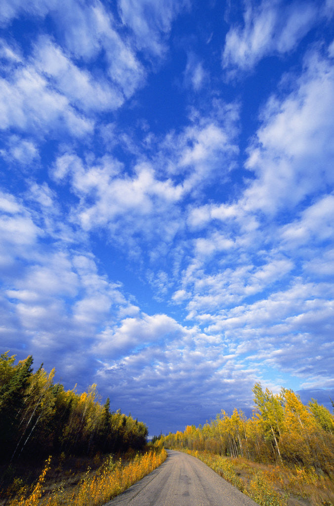 Detail of Gravel Road Under Dramatic Autumn Sky by Anonymous