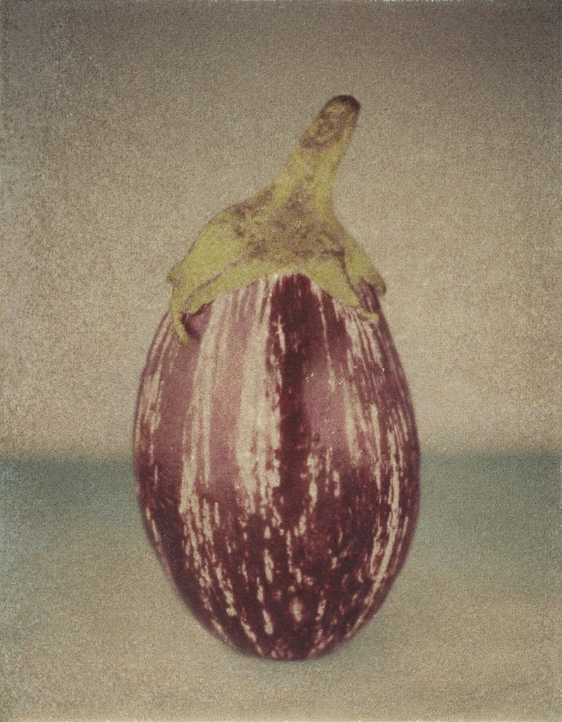 Detail of Italian Eggplant by Jennifer Kennard