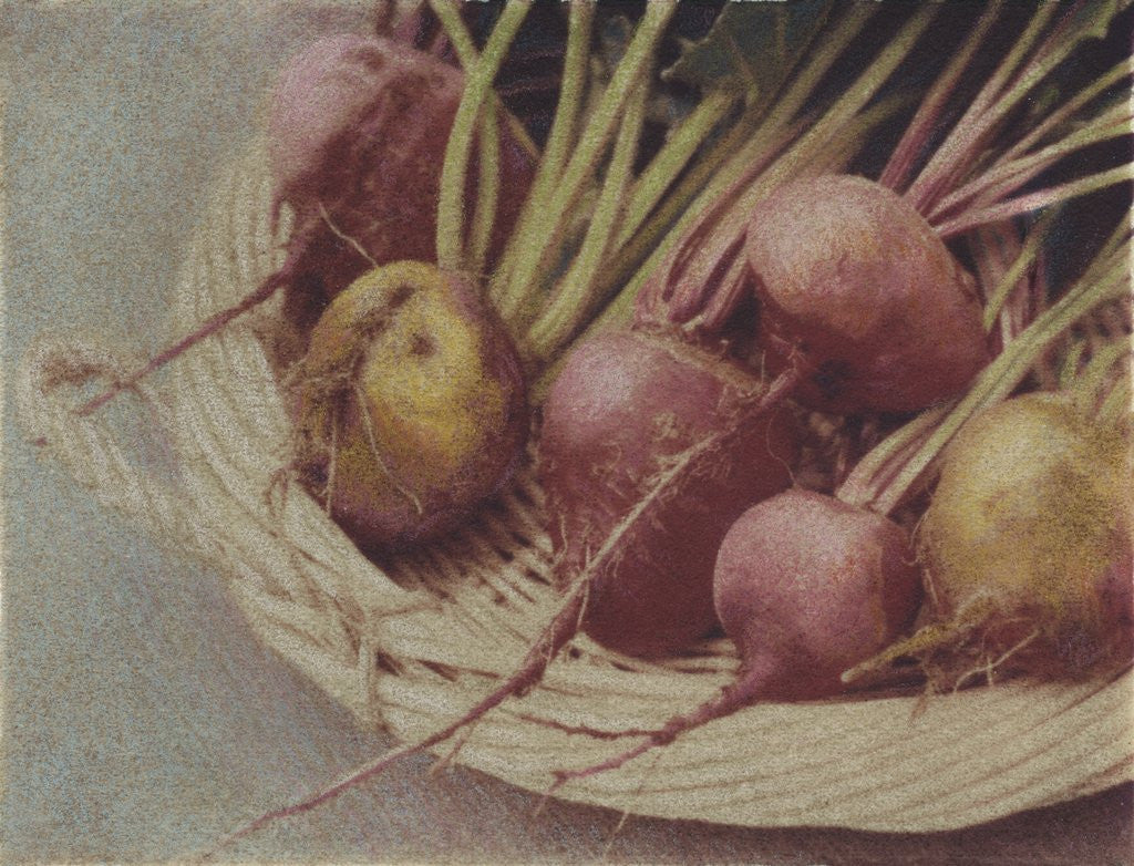Detail of Kay's Beets by Jennifer Kennard