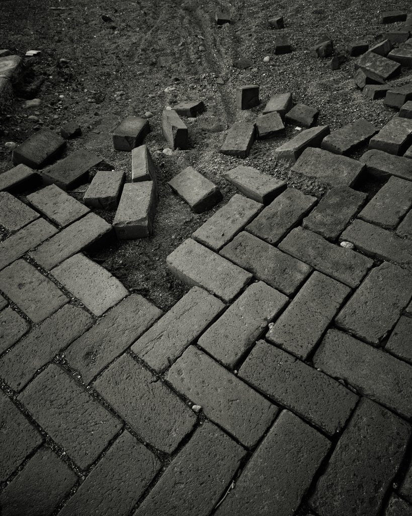 Detail of Brick Sidewalk by David Roseburg