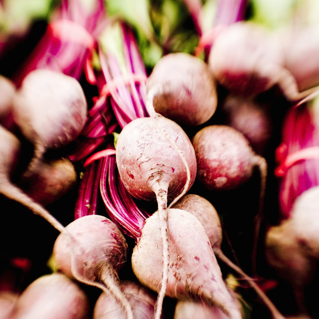 Detail of Fresh Organic Beets by Anonymous