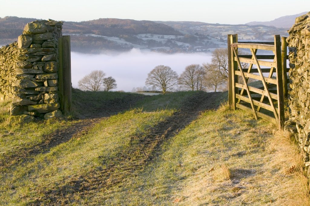 Detail of Frosty Early Morning Landscape Over Lake Windermere by Corbis