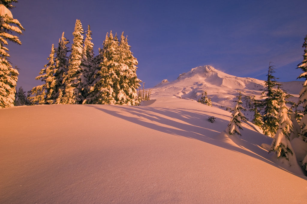 Detail of Sunrise on Mount Hood Timberline by Anonymous