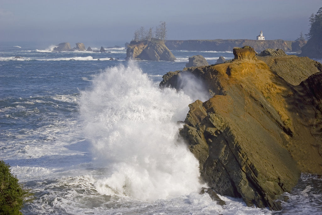 Detail of Roaring Surf by Anonymous