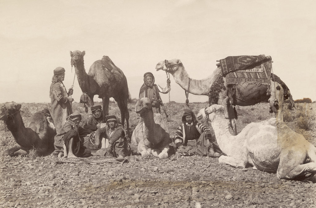 Detail of Bedouins Rest with Their Camels by Anonymous