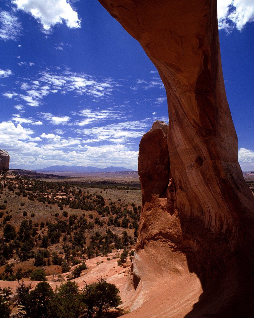 Detail of Natural Arch, Arches National Park, Utah by Corbis