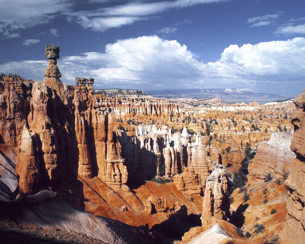 Detail of Bryce Canyon, Utah by Anonymous