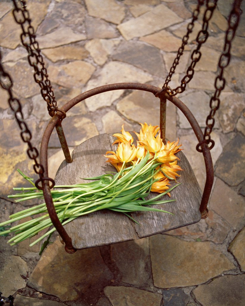Detail of High angle view of a bunch of yellow flowers on the swing by Anonymous