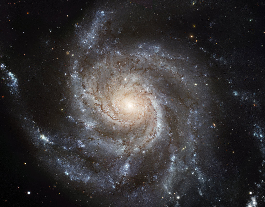 Detail of M101 Spiral Galaxy by Anonymous