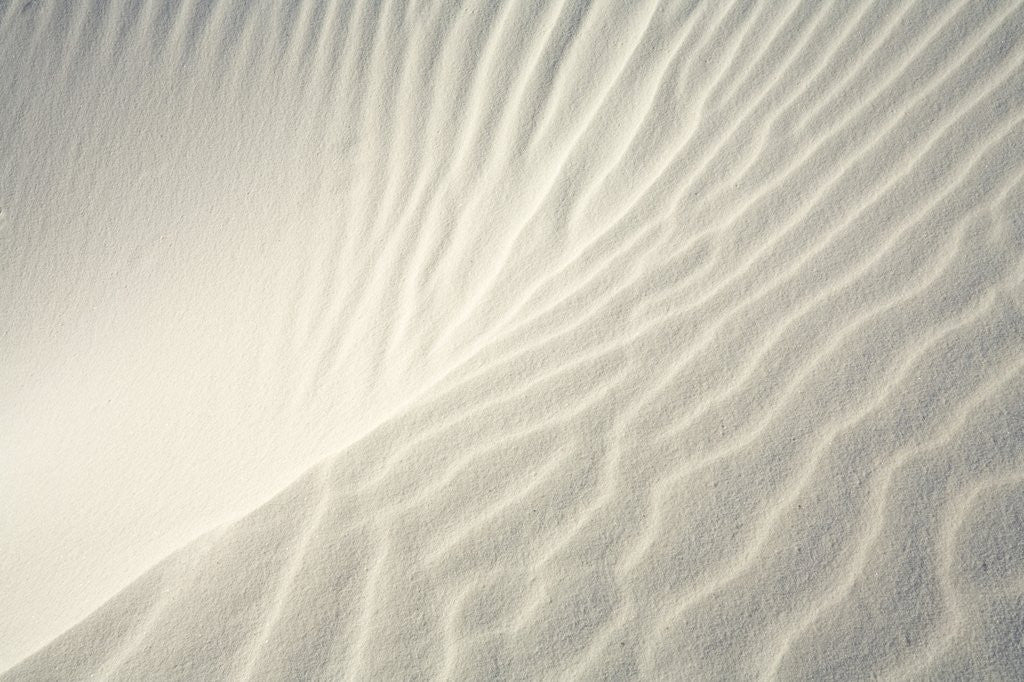 Detail of Close-up of Ripples in Sand Dunes by Anonymous
