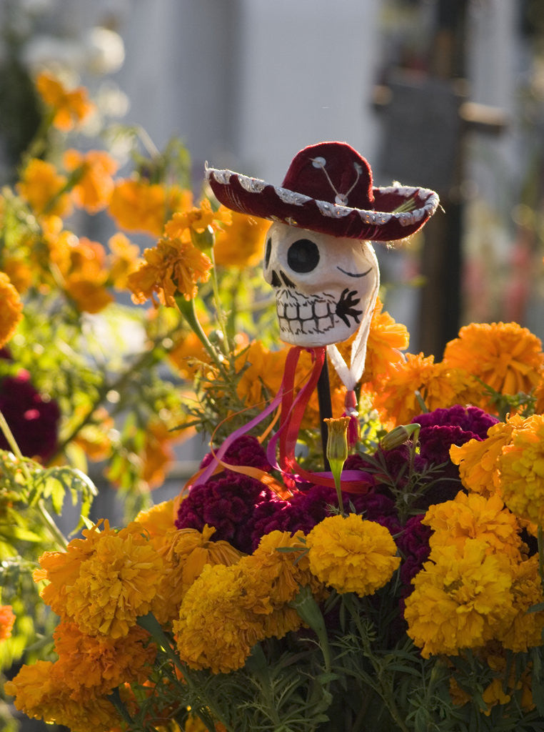 Detail of Day of the Dead Decorations by Corbis