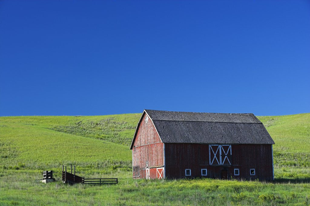 Detail of Barn Amongst Wheat Fields by Corbis