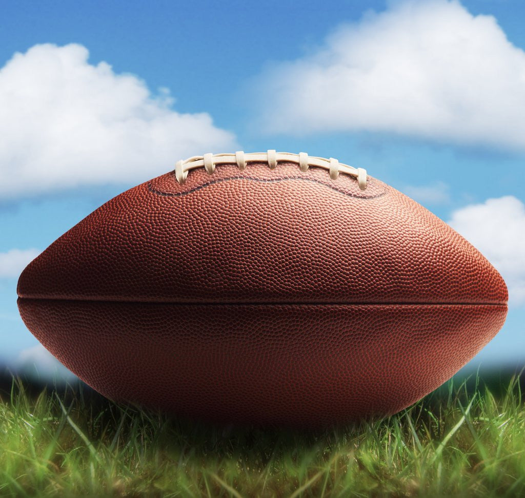 Detail of Football in Grass by Anonymous