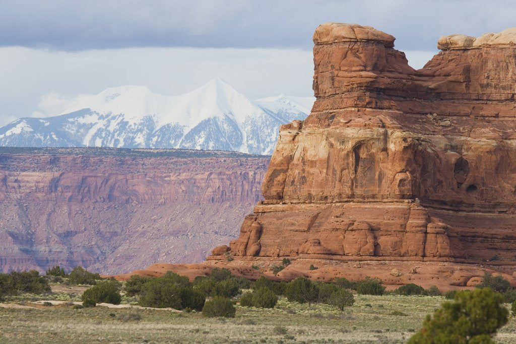 Detail of Snowcapped Mountains and Rock Formations by Anonymous