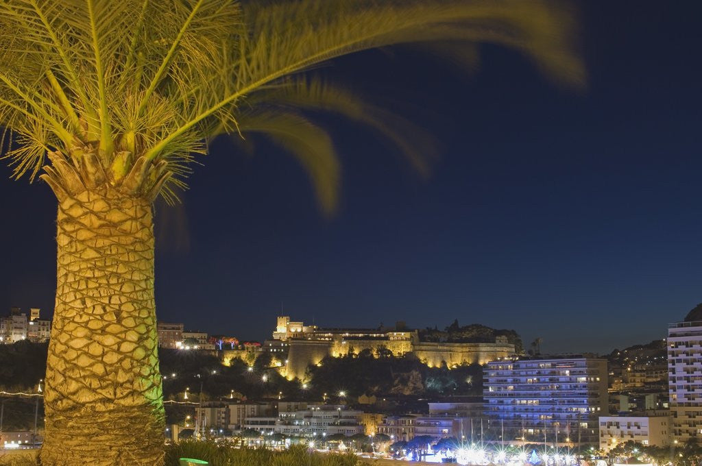 Detail of Skyline of Monte Carlo at Night by Anonymous