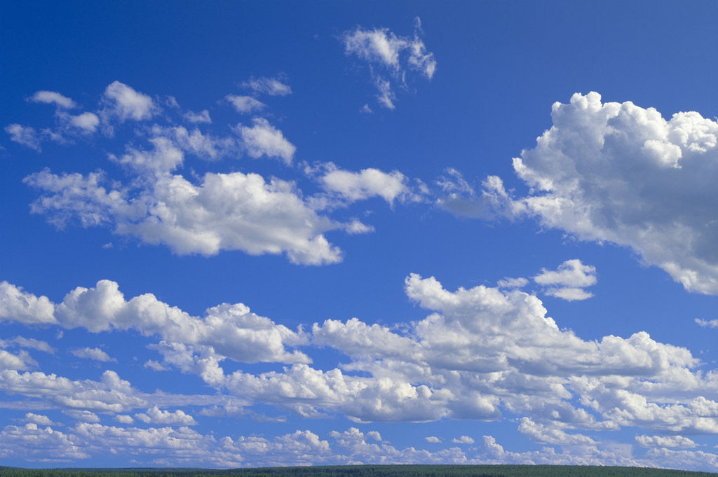 Detail of Cumulus Clouds Over Summer Tundra by Anonymous
