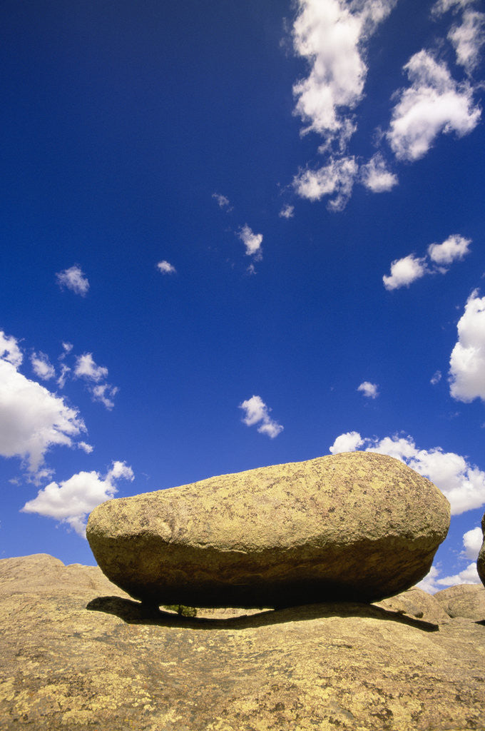 Detail of Lichen Covered Boulder on Rocky Slab by Anonymous