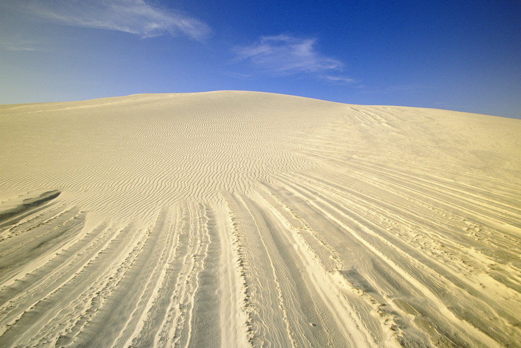 Detail of Wind Made Patterns on White Gypsum Dune by Anonymous