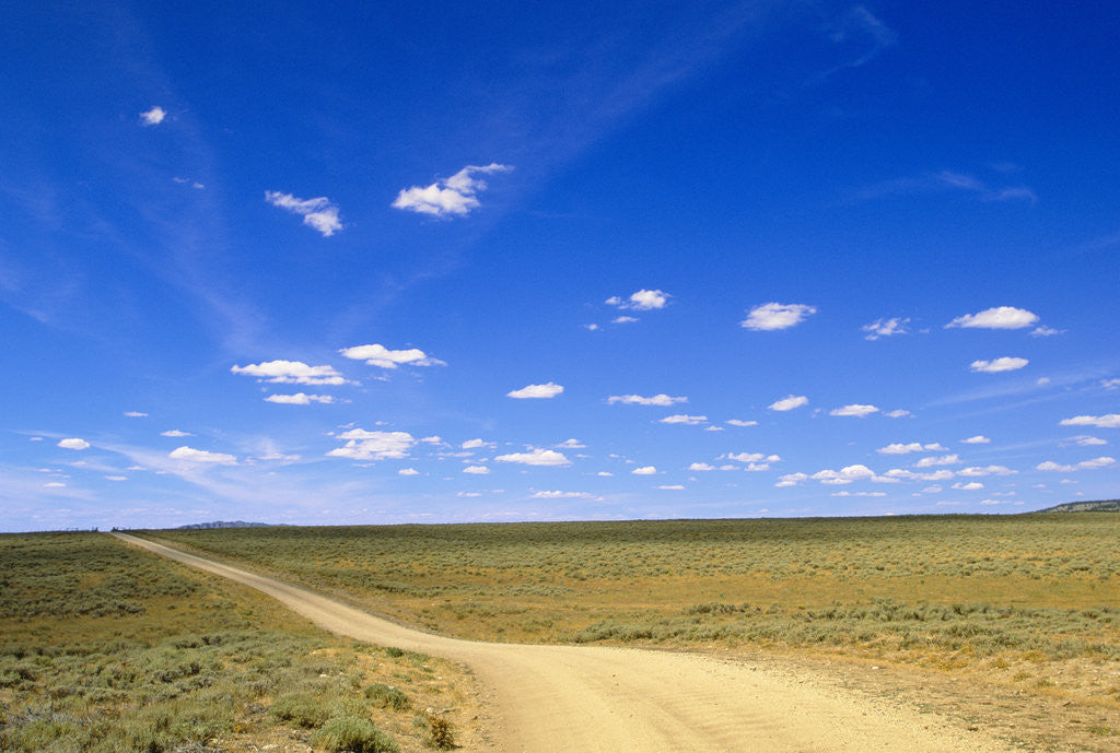 Detail of Blue Sky Above Ranch Road by Corbis