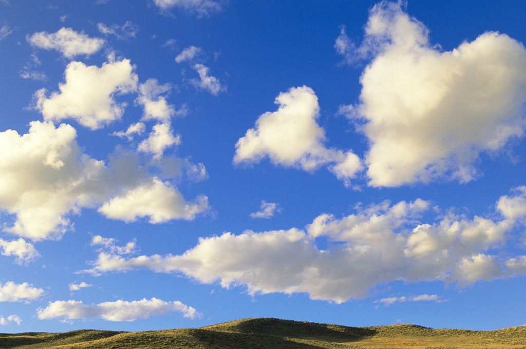 Detail of Cumulus Clouds Floating Above Prairie in the Fall by Corbis