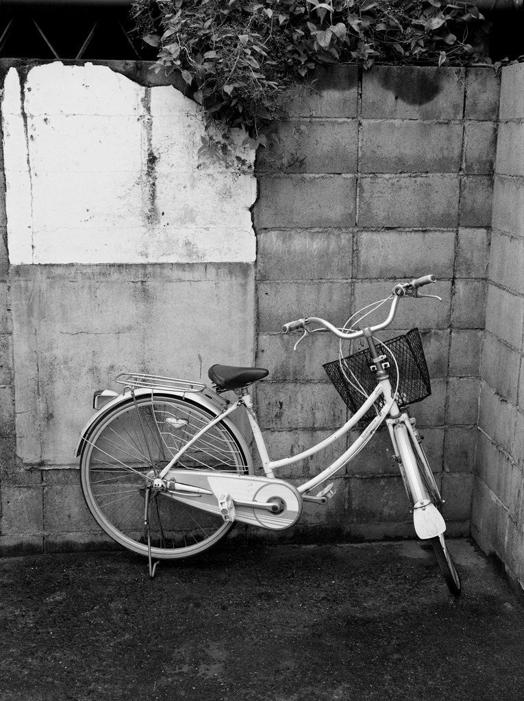 Detail of Bicycle in Courtyard by Anonymous